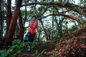 BIB: 
                            <button type="button" onclick="openModal(26344944)" class="btn btn-primary btn-sm float-right btn-popup" data-toggle="modal" data-target=".modal-high-quality">
                        <i class="fas fa-shopping-cart"></i> Add to Cart
                    </button>
                                            <button type="button" onclick="isThisMe(26344944, true)" class="btn btn-success btn-sm float-right btn-popup btn-isme hidden" data-toggle="tooltip" data-placement="bottom" title="นี่คือรูปของคุณใช่ไหม คลิกที่นี่เพื่อเอาเข้าอัลบั้ม">
                        <i class="fas fa-plus"></i> Add to album
                    </button>
                    <button type="button" onclick="isThisMe(26344944, false)" class="btn btn-warning btn-sm float-right btn-popup btn-isnotme hidden">
                        <i class="fas fa-ban"></i> Remove from album
                    </button>